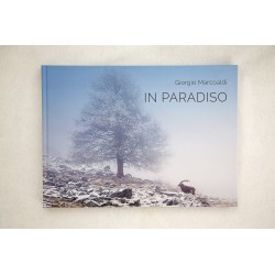 In Paradiso - Appunti di viaggio