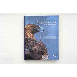 L'aquila reale - Incontri in alta quota